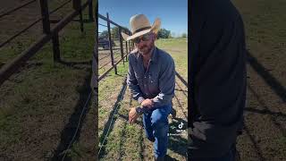 Wisdom and aggravation…😏workingwithdad relatable funny hotwire electricfence ranchlife fyp [upl. by Arayk]