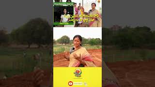 farming ecofriendlyagriculture organicfarming agriculture natural satyam24raithubadi organic [upl. by Notyep]