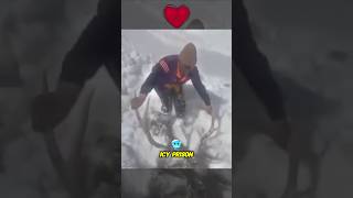 Soldier Rescue Life of Frozen Deer 😱 [upl. by Lletnom]