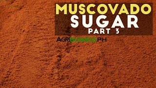 How to cook muscovado sugar  Muscovado sugar Part 3 Agribusiness [upl. by Meri]