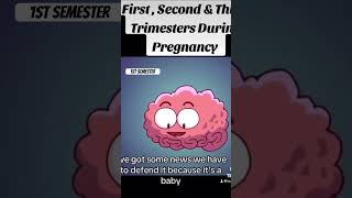 Pregnancy trimesters part 1 trimester 1 [upl. by Artima981]