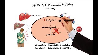 Pharmacology  DRUGS FOR HYPERLIPIDEMIA MADE EASY [upl. by Nalorac]