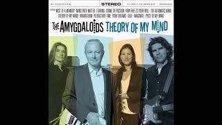 The Amygdaloids  Theory Of My Mind full album 2010 [upl. by Eendyc173]