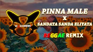 Pinna Male x Sadata Sada Eliyata Reggae Remix DJ CHAAMI [upl. by Morehouse]