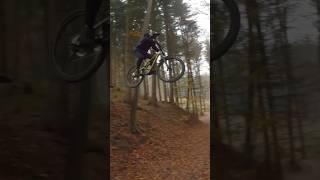 Shred in bikepark Peklák 💥🤘 bikelover mtb biker enduro bikelife downhill trail shorts [upl. by Hirz363]