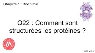 Chapitre 1  Biochimie  Q22  Comment sont structurées les protéines [upl. by Yahsat42]