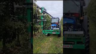 Trimmer CKP For Orchards  Made By FAMA Pruning System Srl Italy  shorts pruning [upl. by Henden]