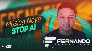 FERNANDO PISADINHA  MÚSICAS NOVAS 2K24 [upl. by Telford]