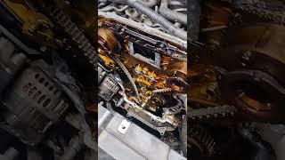 Best Way To Start A Monday Timing Chain Replacement [upl. by Atinauj]