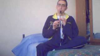 Braveheart main theme  Tin Whistle [upl. by Couture]