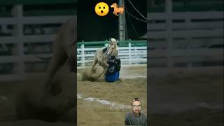 horse equestrian horseriding rodeo horselover horseenthusiast marwadistallion horsefan [upl. by Rivard847]