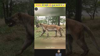 factsinhindi amazingfacts interestingfacts animalfacts factsmine facts fact mustafa viral [upl. by Oballa]