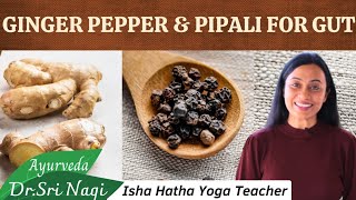 Ginger Peper amp Pippali for Gut Health [upl. by Norina549]