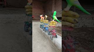 Teen tractor Dharm se niche gir gai funny bulldozer baba jindabad tractor ok mam Chand [upl. by Philoo]