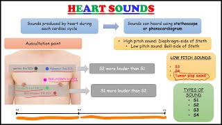 HEART SOUNDS Basics amp Important pathology focused on FMGENEXT amp NEETPG [upl. by Namad]