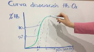 Curva hemoglobina y efecto Bohr [upl. by Astiram]