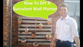 How to make a DIY Succulent Wall Planter How to plant succulents in containers [upl. by Pearlstein811]