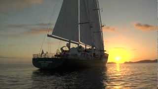 The New Rainbow Warrior arrives in New Zealand [upl. by Ellen]