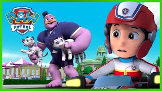 ¡La Patrulla de Cachorros detiene al alcalde Humdinger gigante y mucho más  PAW Patrol Español [upl. by Rafiq]