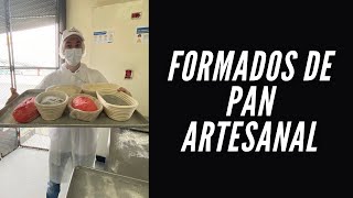 Formados de pan artesanal listos  EL PANADERO PTY [upl. by Amlev]