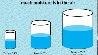 Relative Humidity vs Dewpoint [upl. by Dodson]