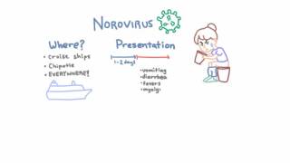 Norovirus  Epidemiology Clinical Presentation and Prevention [upl. by Flavia]