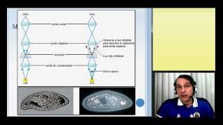 3° aula  Microscopia [upl. by Epoh]