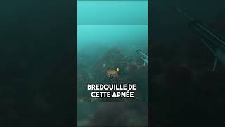 Je suis Face à des Requins en Plongée  requin shark peche [upl. by Mcripley]