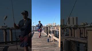 You Must try Fishing Florida Piers [upl. by Stolzer530]