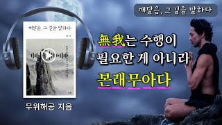 이 단순한 진리를 그냥 있는 그대로 받아들이기만 하면 된다 오디오 북 명상 스승 깨달음 진리 무아연기 도반 혜가 해공명상 마음공부 [upl. by Lehplar935]