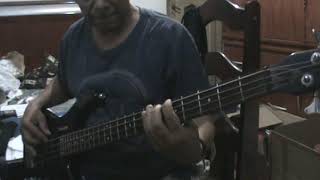 Titãs  Enquanto Houver Sol  Bass Cover [upl. by Cavil608]