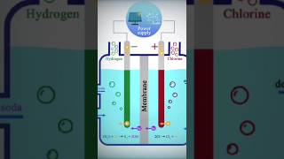 What is🤔 ChlorAlkali Process🤫Class 10th  Most Important💥 topic for board 2025 ytshorts [upl. by Yendroc]