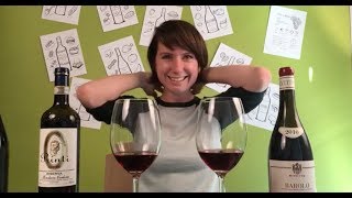 Two Nebbiolo Wines  Barolo vs Roero Riserva [upl. by Juditha]