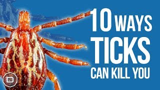 10 Ways Ticks Can Kill You Health Warning [upl. by Akinahs411]