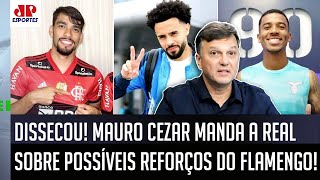 quotISSO É UMA COISA MALUCA cara O Flamengoquot Mauro Cezar FALA TUDO de possíveis CONTRATAÇÕES [upl. by Pomcroy175]