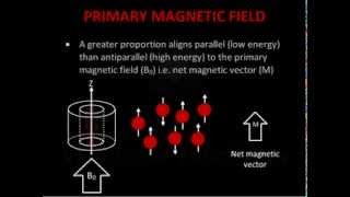 Introduction to MRI Physics [upl. by Dewey857]