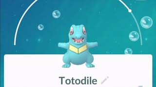 Pokemon GO Totodile Pokedex 360 Degree View [upl. by Ahsinehs]