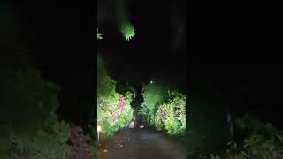 Riyavar Luxury Home Stay Coorg Night view Riyavar Homestay Coorg mediker nightview [upl. by Asiluy]