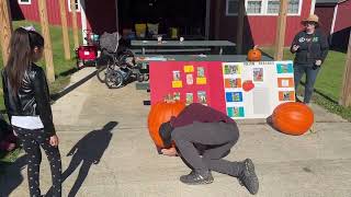 Video Cayuga County 4H pumpkin contest weighin [upl. by Peonir]