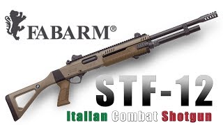 Fabarm Unveils New Combat Shotgun  STF12 [upl. by Richarda]