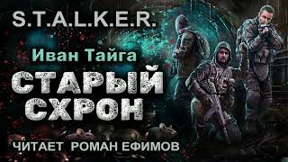 STALKER Старый схрон аудиокнига БОЕВАЯ ФАНТАСТИКА Иван Тайга Читает Роман Ефимов [upl. by Naziaf]