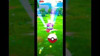 Catching Clamperl Shiny pokemon pokemongo shinypokemon shiny clamperl hoenn shorts [upl. by Wina448]