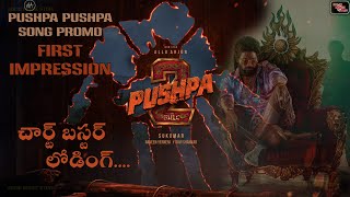 PUSHPA PUSHPA Song Promo FIRST IMPRESSION  Pushpa 2 The Rule  Allu Arjun  Solid Movie Stuff [upl. by Erimahs928]