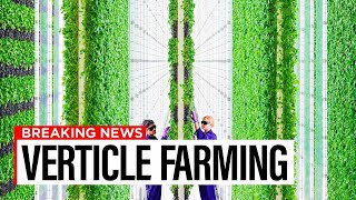 Aeroponic Farming Is The Way Of The FUTURE But What Does It MEAN [upl. by Orwin]