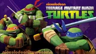 Teenage Mutant Ninja Turtles TMNT  Theme Song [upl. by Darice335]