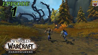 Lets Play WoW  SHADOWLANDS  New Character Leveling  Part 1  Gameplay Walkthrough [upl. by Arrakat831]