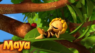 ¡Celebra Semana Santa con La Abeja Maya 🐝 Mejores Episodios  Episodio completo  Feliz Pascua [upl. by Summons563]