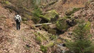 Wanderung durch ein´s der schönsten und romantischsten Täler des Pfälzer Waldes  Naturfilm [upl. by Otsuaf]