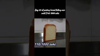 Day 27 of posting bread falling over [upl. by Gerda]