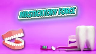 Masticatory force  Everything Dentistry 🍎👄🔊✅ [upl. by Ahsuatan]